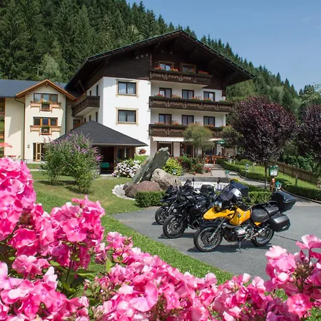 Hotel-pension Birkenhof Kotschach-Mauthen