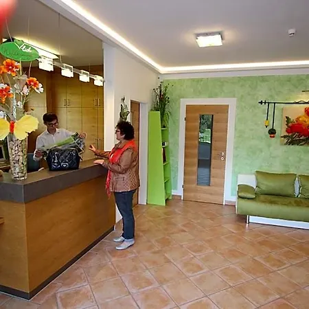 Hotel-pension Birkenhof Hotel Kotschach-Mauthen